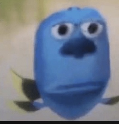 dory meme